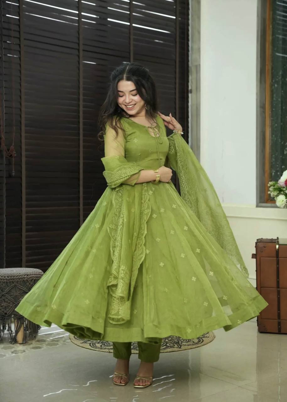 Embroidery Work With Fancy Full Sleeve In Gown