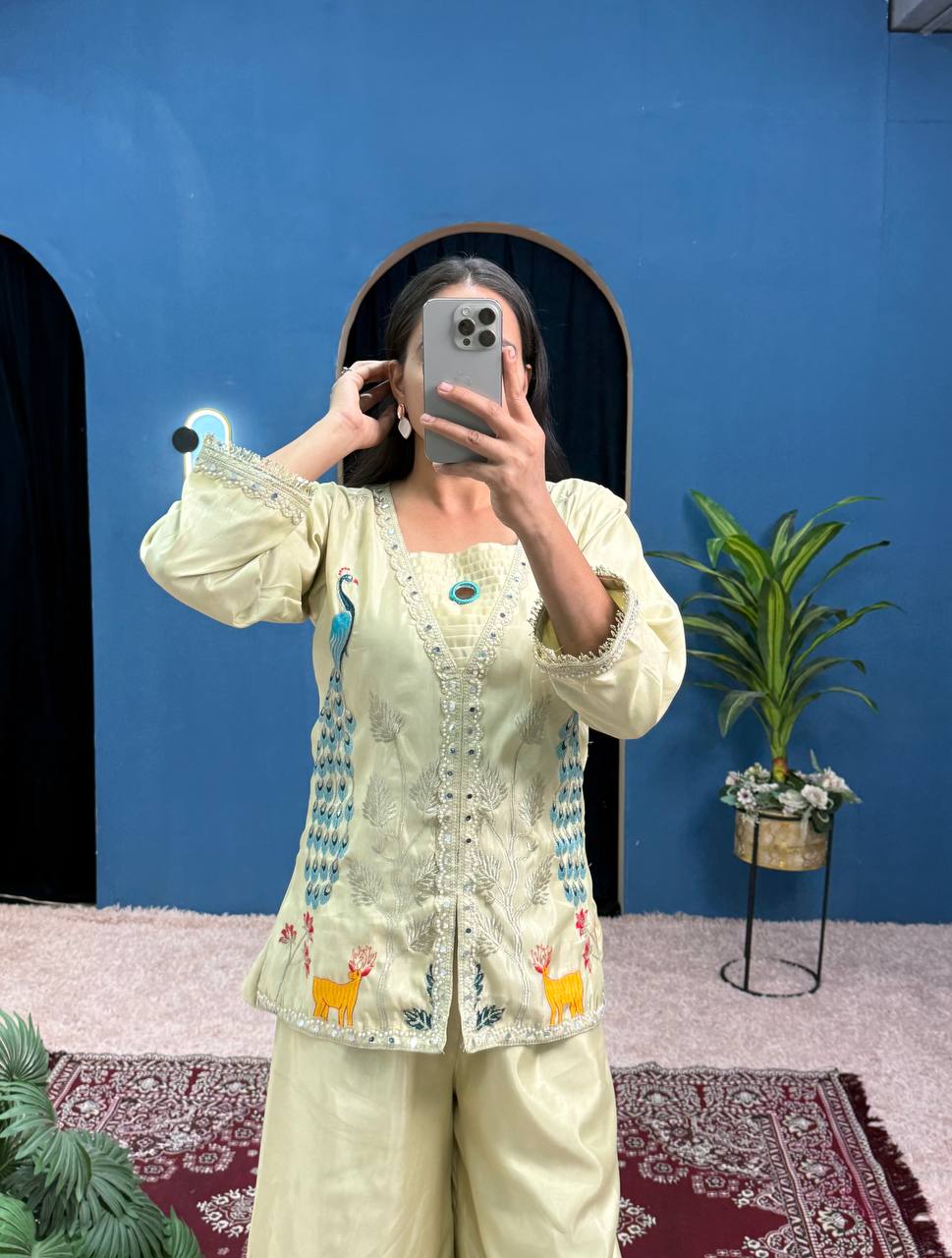Chimmar Front Side Full Embroidery Work Top