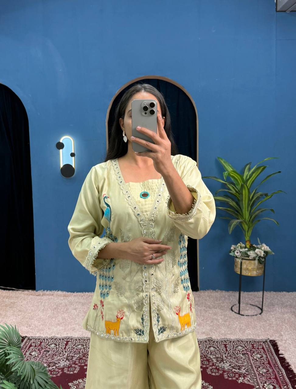 Chimmar Front Side Full Embroidery Work Top