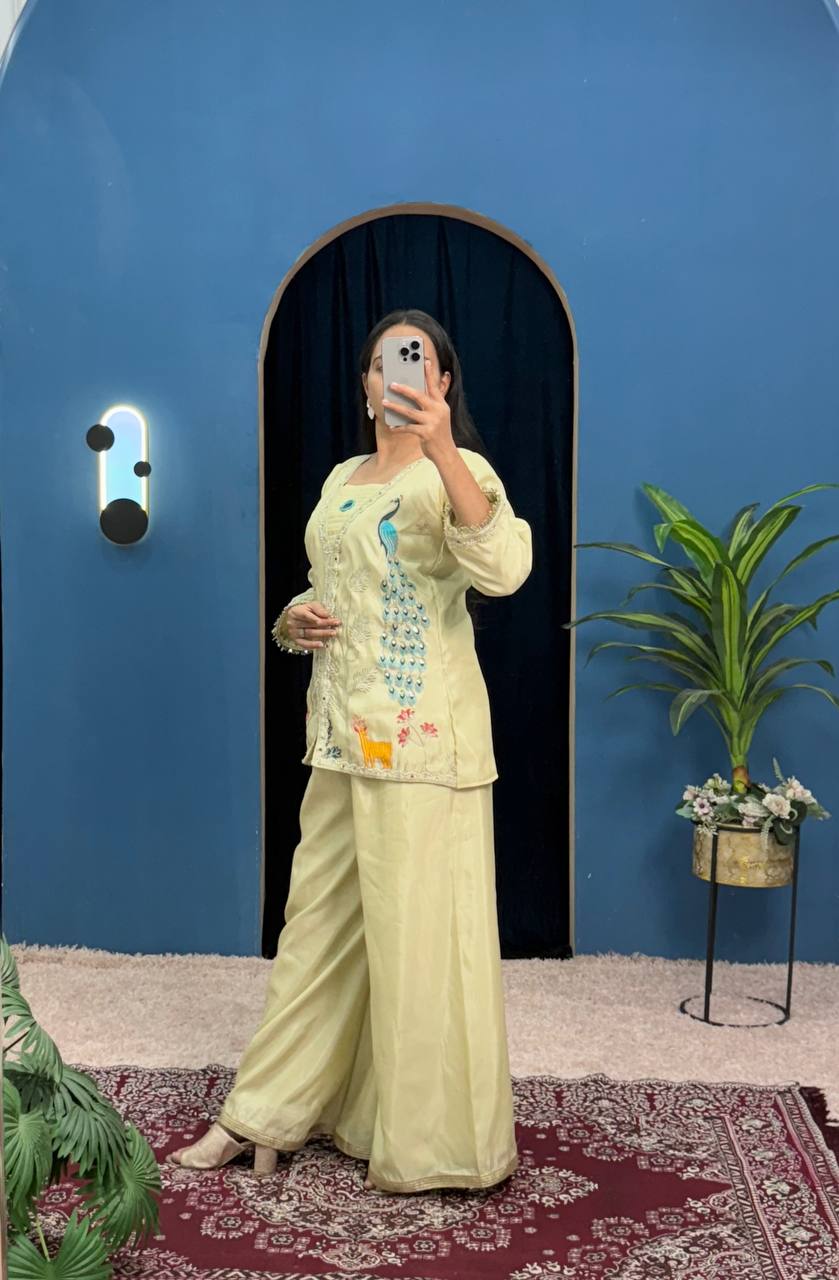 Chimmar Front Side Full Embroidery Work Top