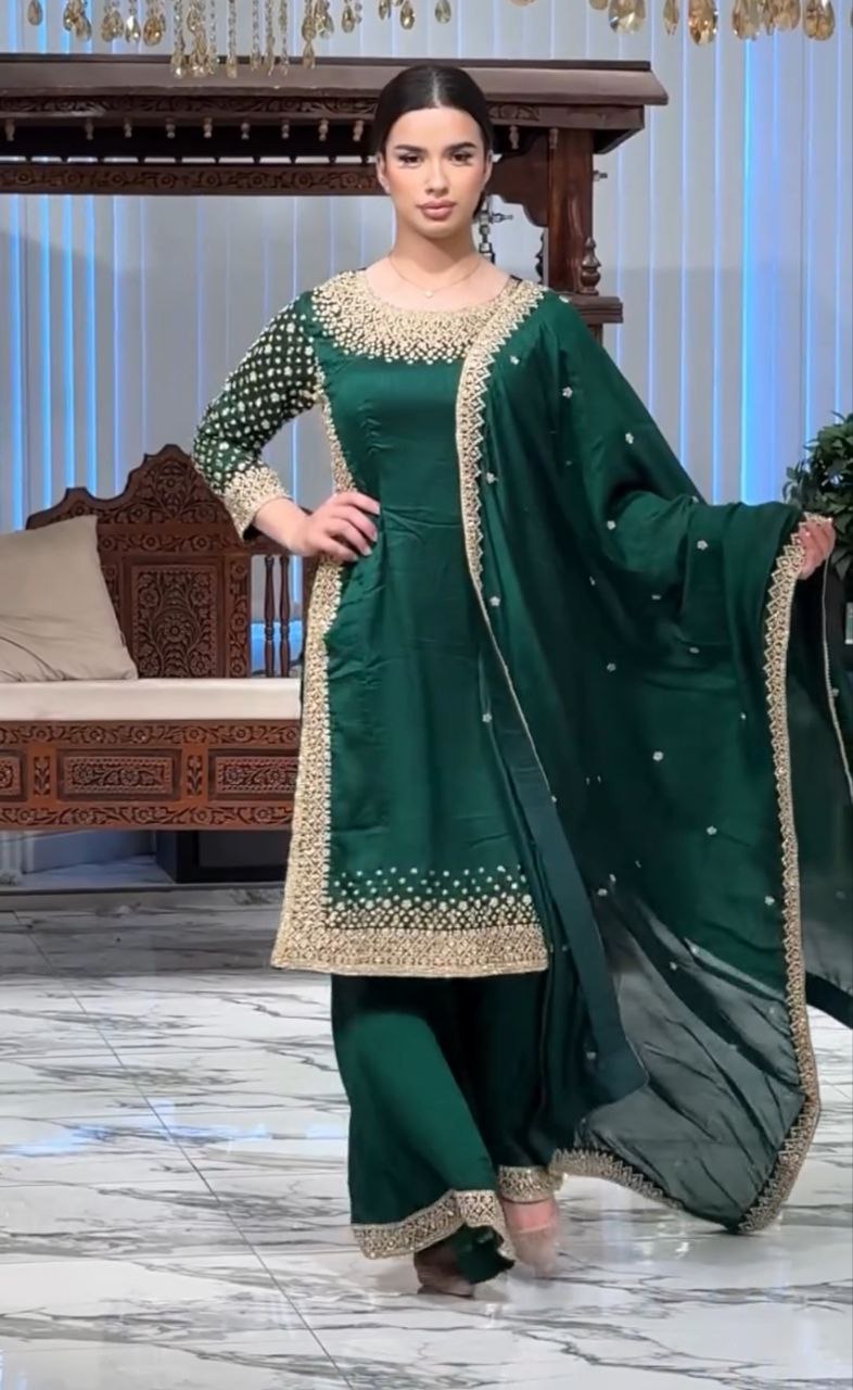 Embroidery Siqunce Work in beautiful Top